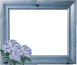 cadre dcoration fleurs