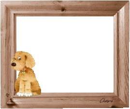 cadre image chien
