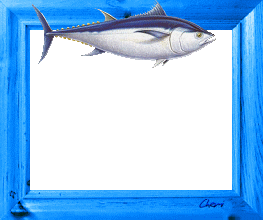 cadre bois bleu: poisson