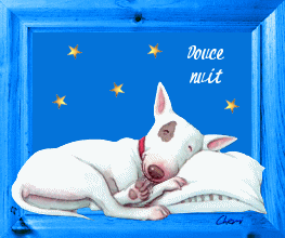 gif anim: chien dort sur un oreiller: " douce nuit "