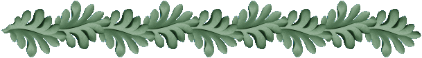 bordure feuille de chne vert pr