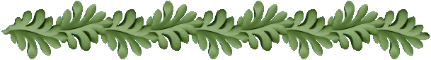 bordure feuille de chne vert kaki