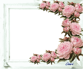 fleurs roses