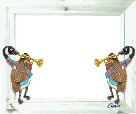 oiseaux musique