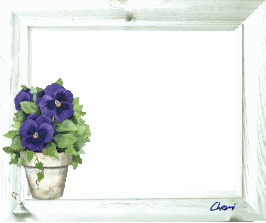 pot de fleurs