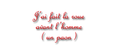 citation en 3d
