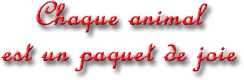 citation en 3d