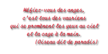 citation en 3D