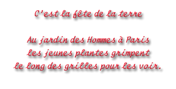 citation en 3D