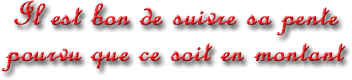 citation en 3d