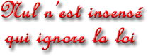 citation en 3d