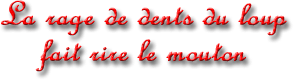 citation en 3d