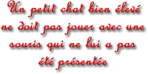citation en 3d