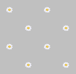texture fleurs pquerettes gris soutenu