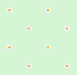 texture fleurs pquerettes vert clair