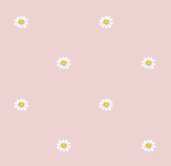 texture fleurs pquerettes rose pass