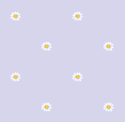 texture fleurs pquerettes lilas