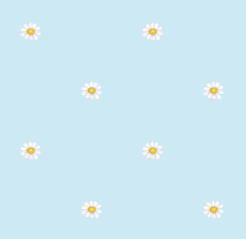 texture fleurs pquerettes ciel trs clair