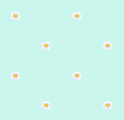 texture fleurs pquerettes turquoise clair