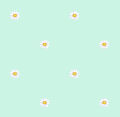 texture fleurs pquerettes vert