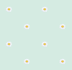 texture fleurs pquerettes menthe