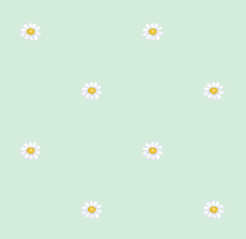 texture fleurs pquerettes vert layette
