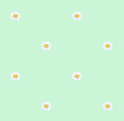 texture fleurs pquerettes vert lumire