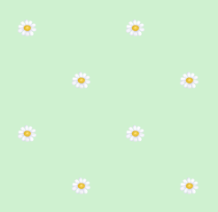 texture fleurs pquerettes vert tendre