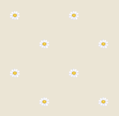 texture fleurs pquerettes beige