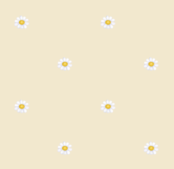 texture fleurs pquerettes jaune tendre