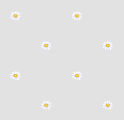 texture fleurs pquerettes gris trs clair