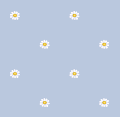 texture fleurs pquerettes gris bleut