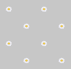 texture fleurs pquerettes gris